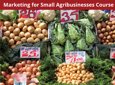Marketing for Small Agribusinesses Course