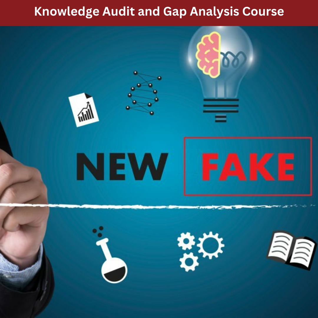 Knowledge Audit and Gap Analysis Course