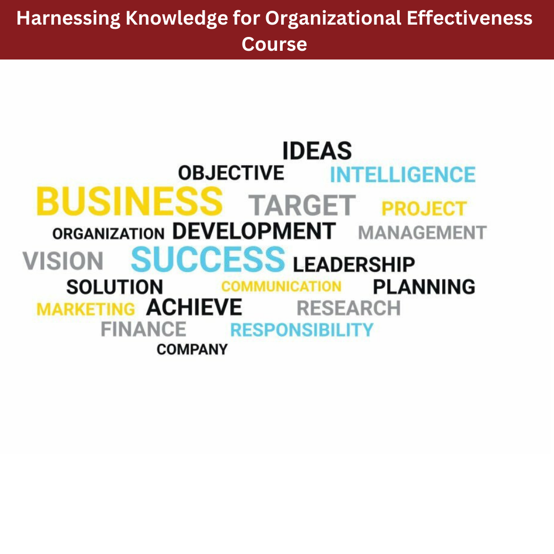 Harnessing Knowledge for Organizational Effectiveness Course