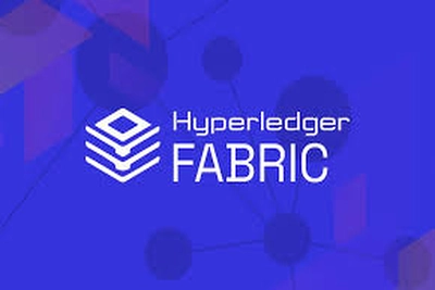 Certified Hyperledger Fabric Developer Training Course