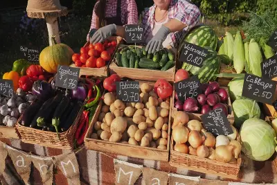 Agricultural Market Information Systems (AMIS) Course