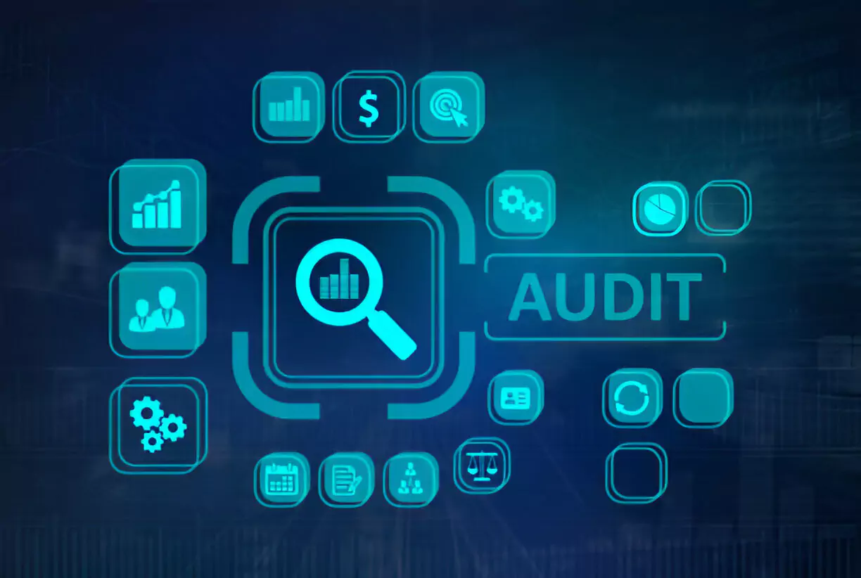 Financial Management and Auditing Course