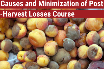 Causes and Minimization of Post-Harvest Losses Course