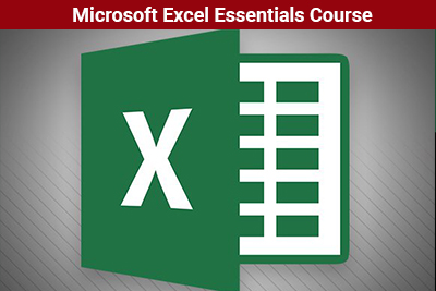 Microsoft Excel Essentials Course
