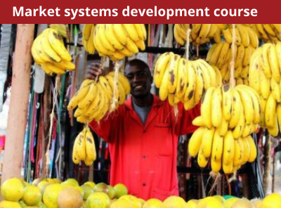 Market systems development course