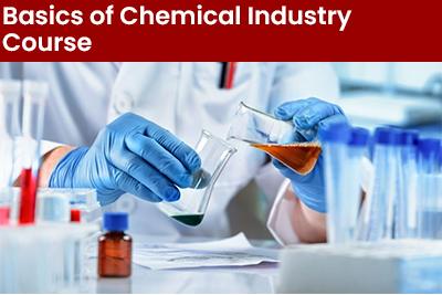 Basics of the Chemical Industry Course