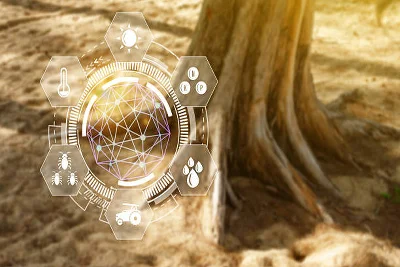 Image depicting Indigenous Knowledge Systems in Resource Stewardship Training Course on indepth research institute website