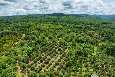 Image depicting Land Degradation Neutrality (LDN) Implementation Training Course on indepth research institute website