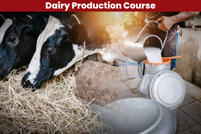 Dairy Production Course