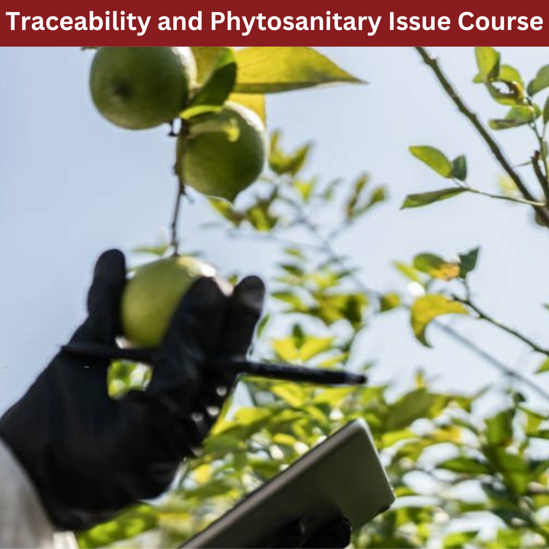 Traceability and Phytosanitary Issue Course