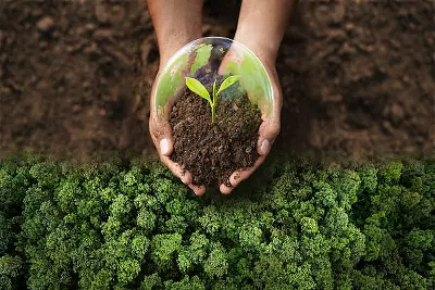 Image depicting Land Use Planning and Sustainable Development Training Course on indepth research institute website