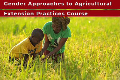 Gender Approaches to Agricultural Extension Practices Course