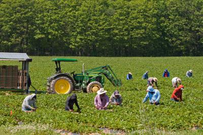 Community Mobilization and Participatory Approaches in Agriculture Training Course
