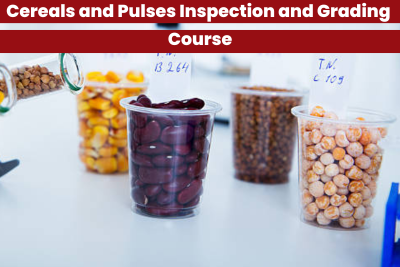 Cereals and Pulses Inspection and Grading Course