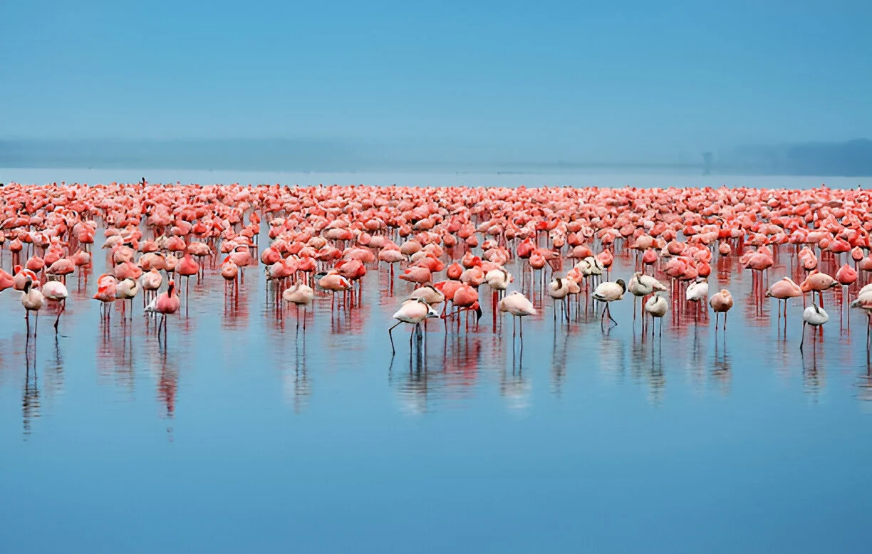 Nakuru